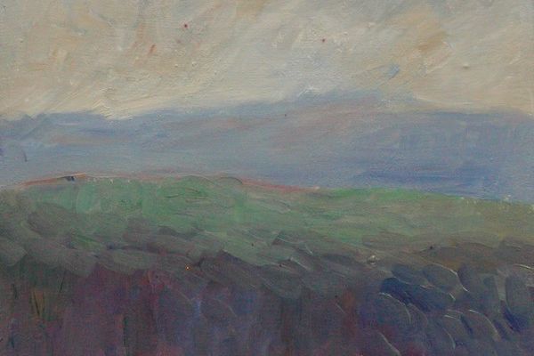 field-air-impressionB125D953-5E49-4FDE-373D-5F946A21D923.jpg