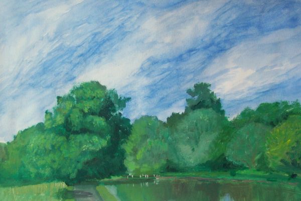 trees-of-the-canalBAD78F7B-B6D5-26CF-11C1-E42B3D30F4E5.jpg