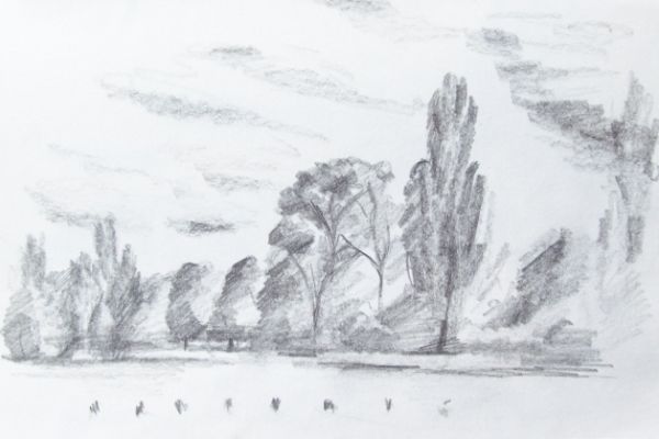 draw-2B5DC678B-1504-1662-DA9A-8CD4A256D43F.jpg