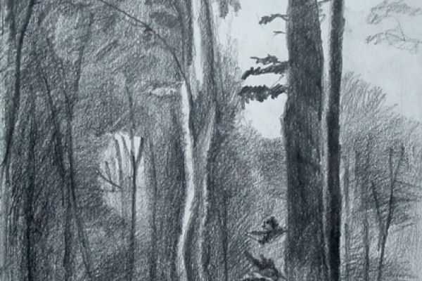 drawing-262B1C885D-4730-1E0A-F80B-B6DB549F1DC7.jpg